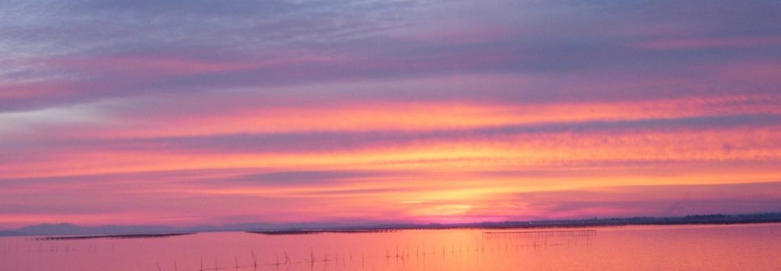 A Louer Balaruc les bains