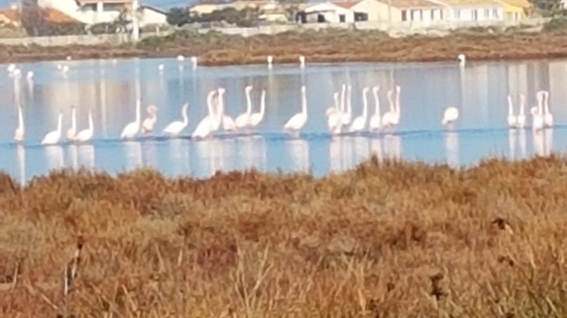 A louer Bord de mer
