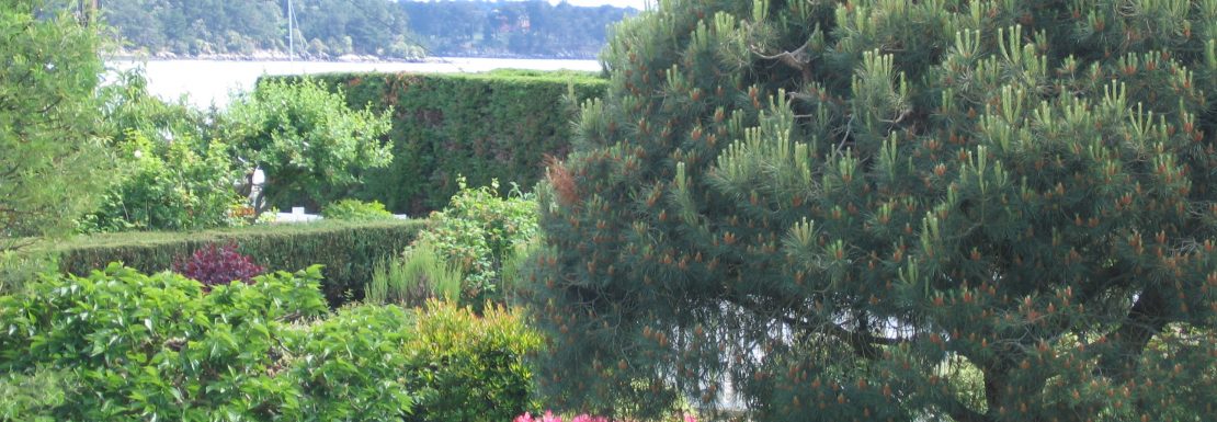 Golfe du Morbihan A louer